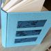 1 year diary pastel green large2.jpg
